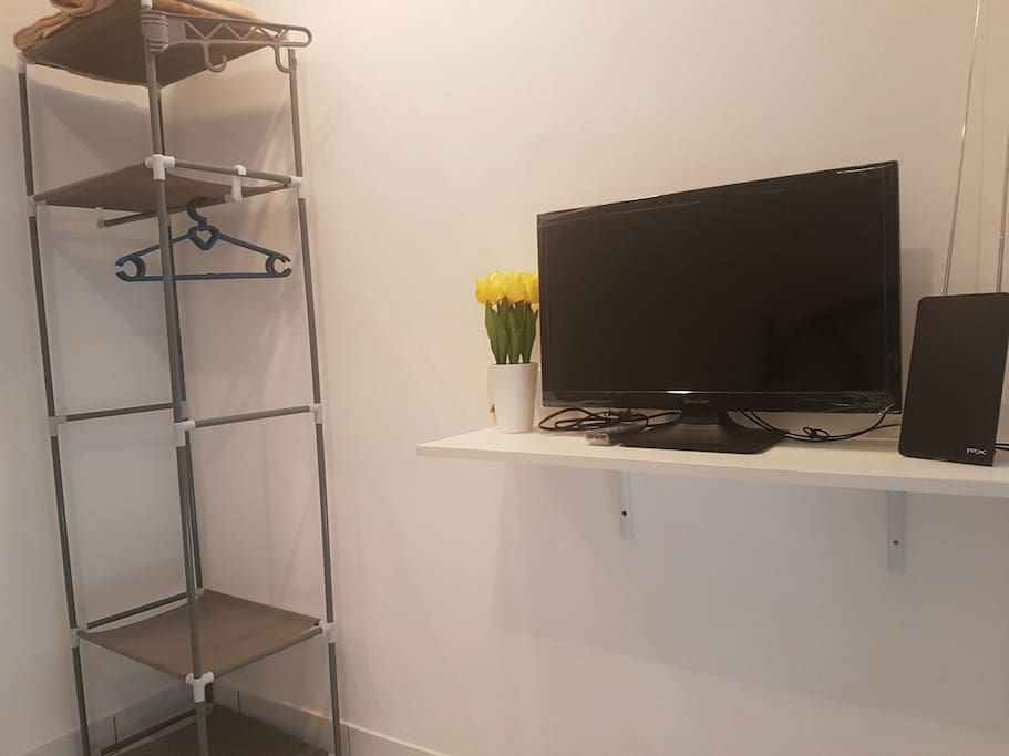 Television