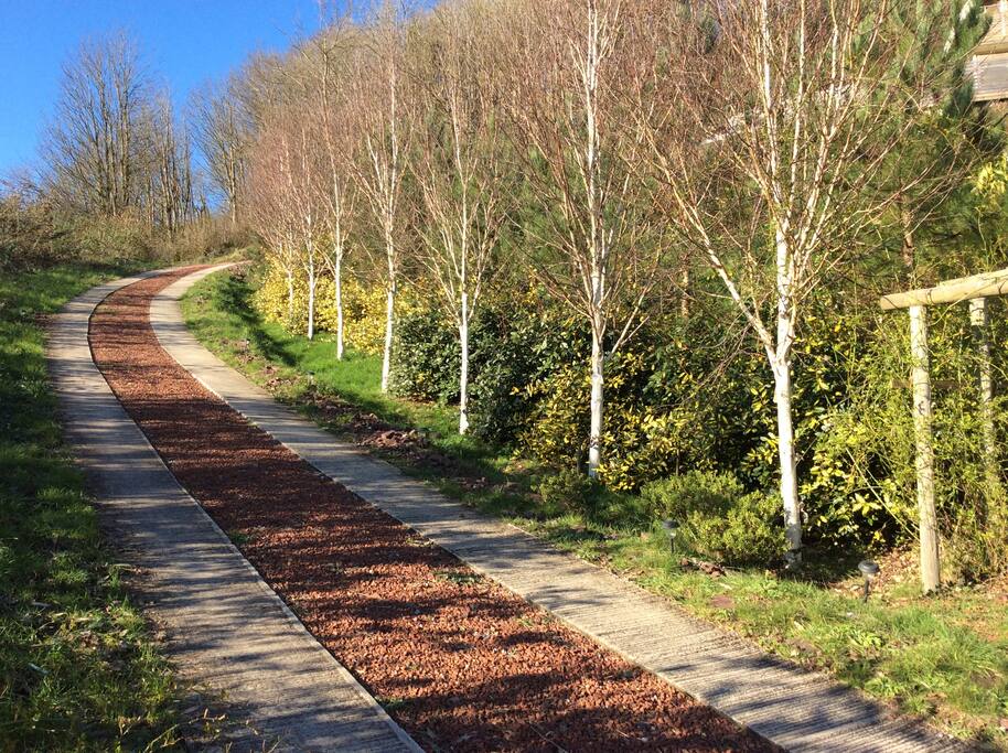 The tree lined entrance way.