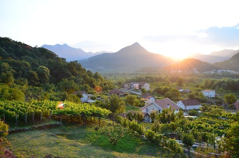 Successful Airbnb property: Country House Djurisic - Mountain Echo Apartment in Bar