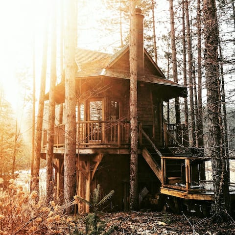 Treehouse on private, isolated forest (300 acres)