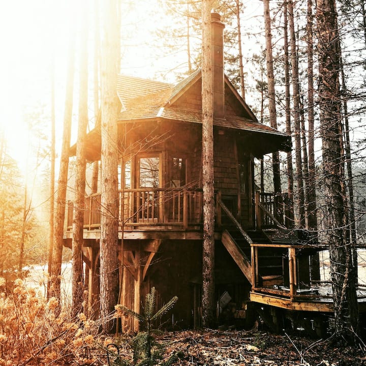 Lens Perspectives Small log cabin, Tiny house cabin, Log cabin rustic