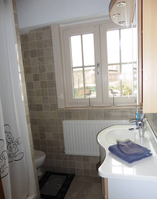 Badkamer met lavabo, douche en toilet