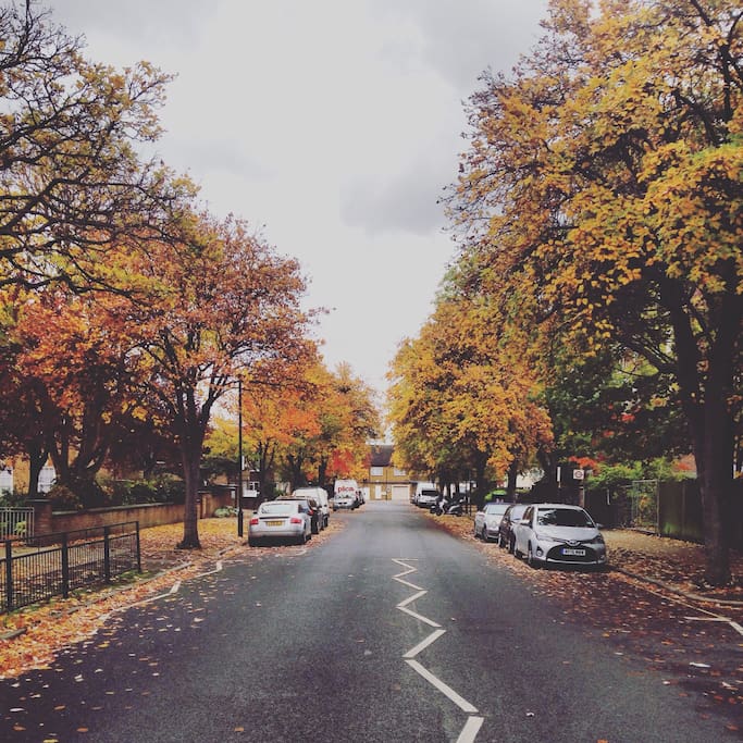 My street during autumn