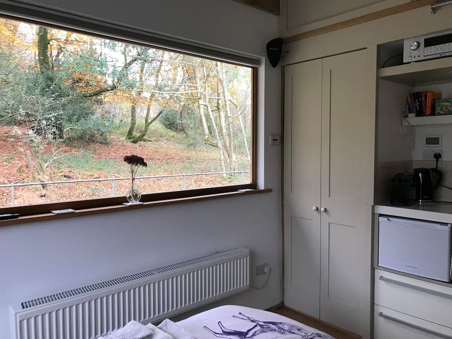 Room with an Autumn view!