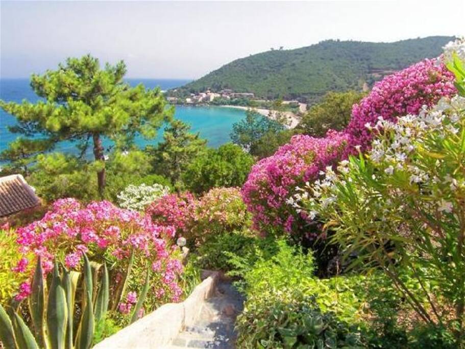 Accès villa