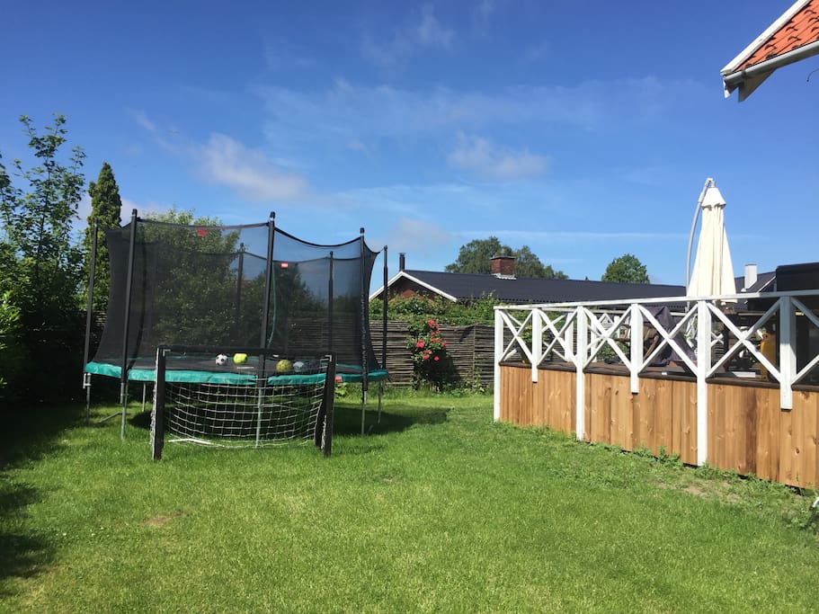 The front yard with trampoline