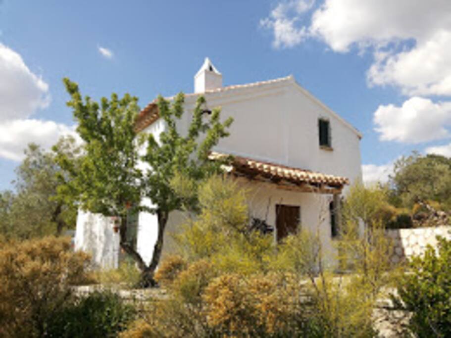 Fachada este