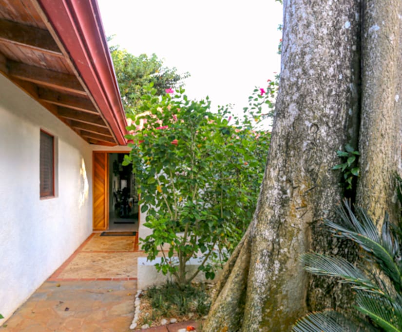 Our street entrance is very private. You hear many birds in our trees.