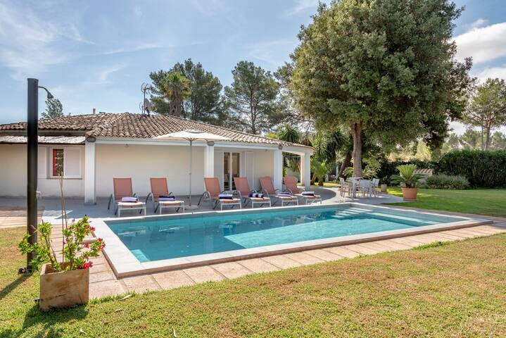 Vaumera gallery image 3