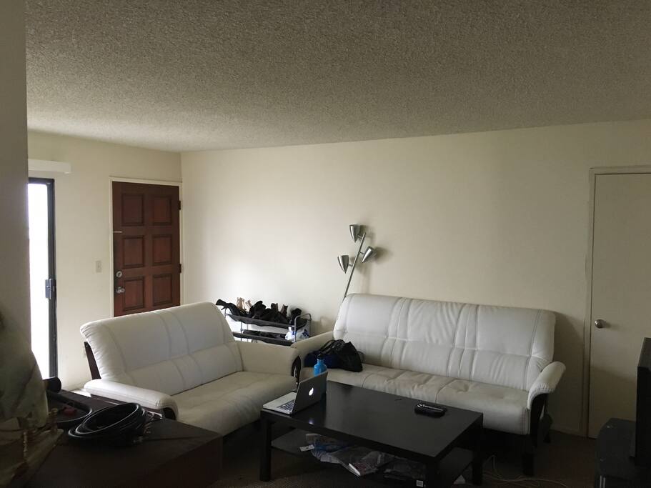 Shared spacious living room