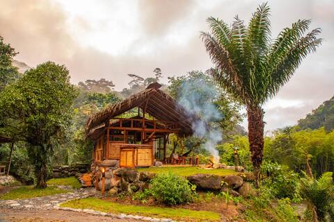 Remote Luxurious Riverside Jungle Retreat/Farmstay
