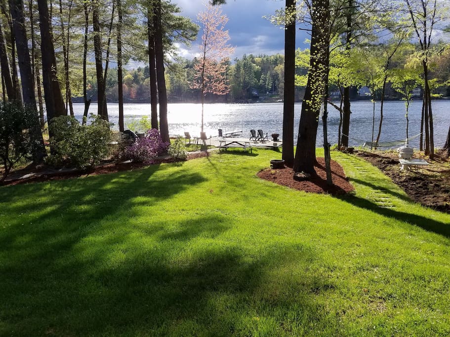 The backyard in early spring, great afternoon sun!