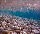 The image captures an underwater scene, showcasing a sandy sea floor covered with smooth pebbles. The water above is clear, allowing sunlight to filter through, creating a tranquil blue tone that contrasts with the textures of the rocks.