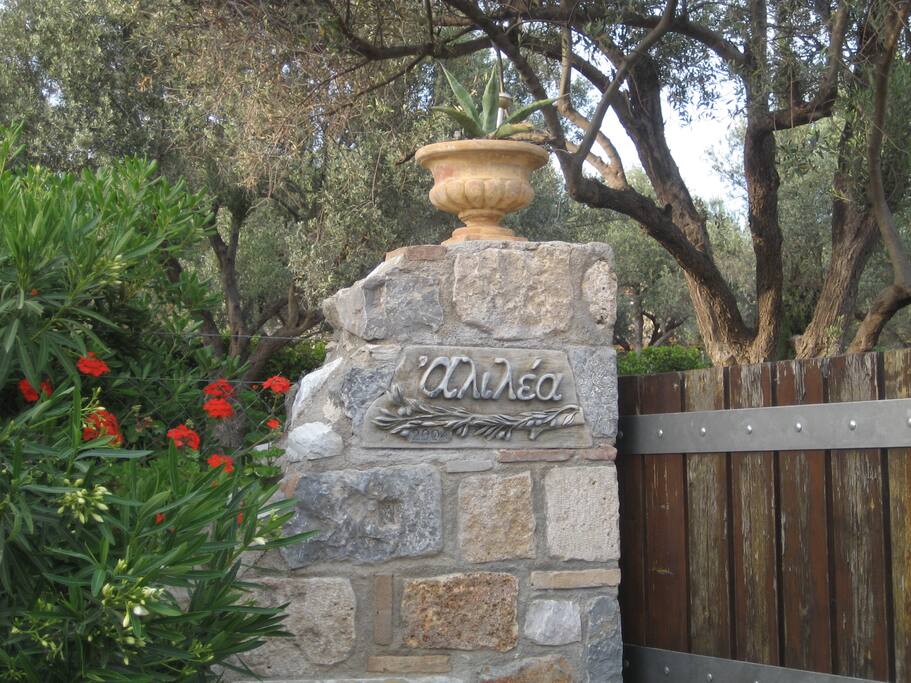 Alilea sign