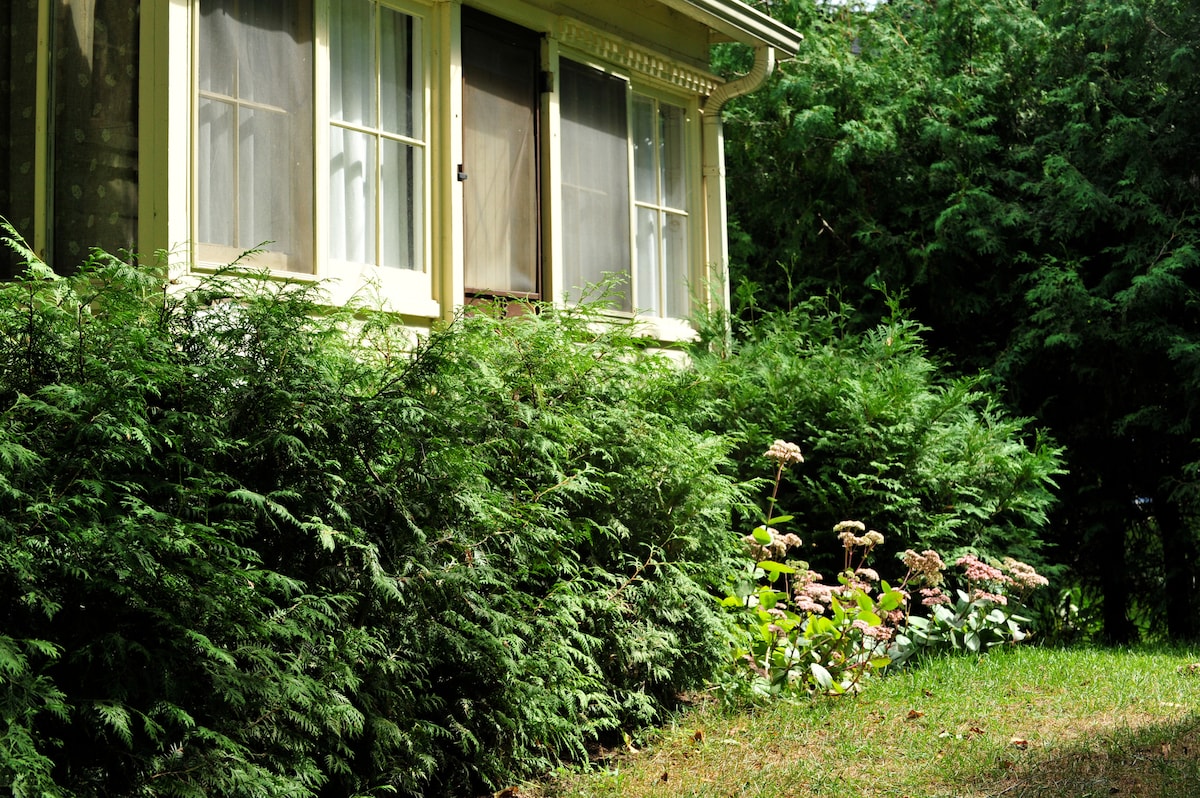 A quaint cottage exterior is framed by lush greenery. The window features sheer curtains, allowing soft light to filter through. Bushes and small flowering plants add a touch of color to the landscape, enhancing the tranquil setting of the property.