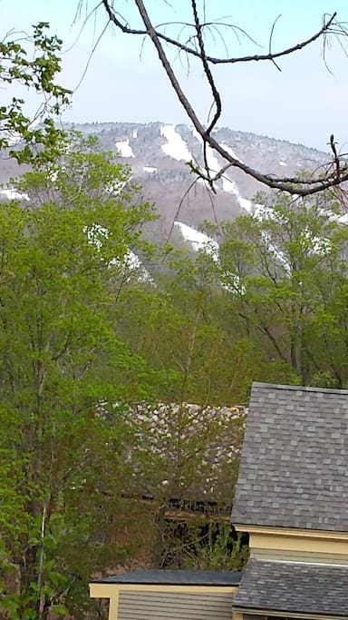 View from kitchen window