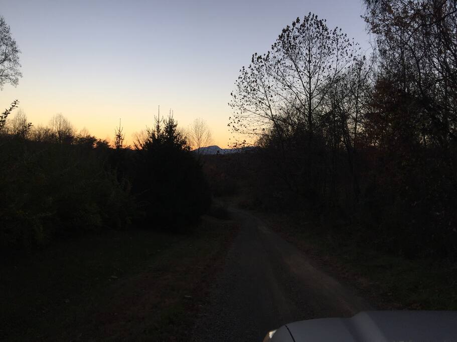 Dirt road leading to driveway.