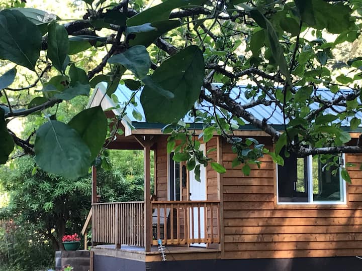 12 Best Cabin Rentals In Humboldt County, California Trip101