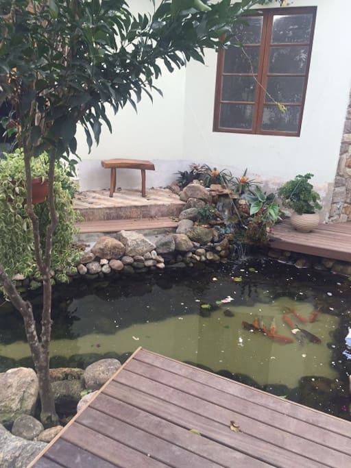Deck e lago