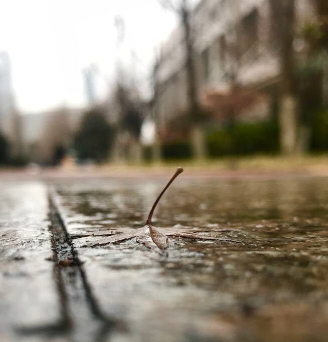 路边抓拍