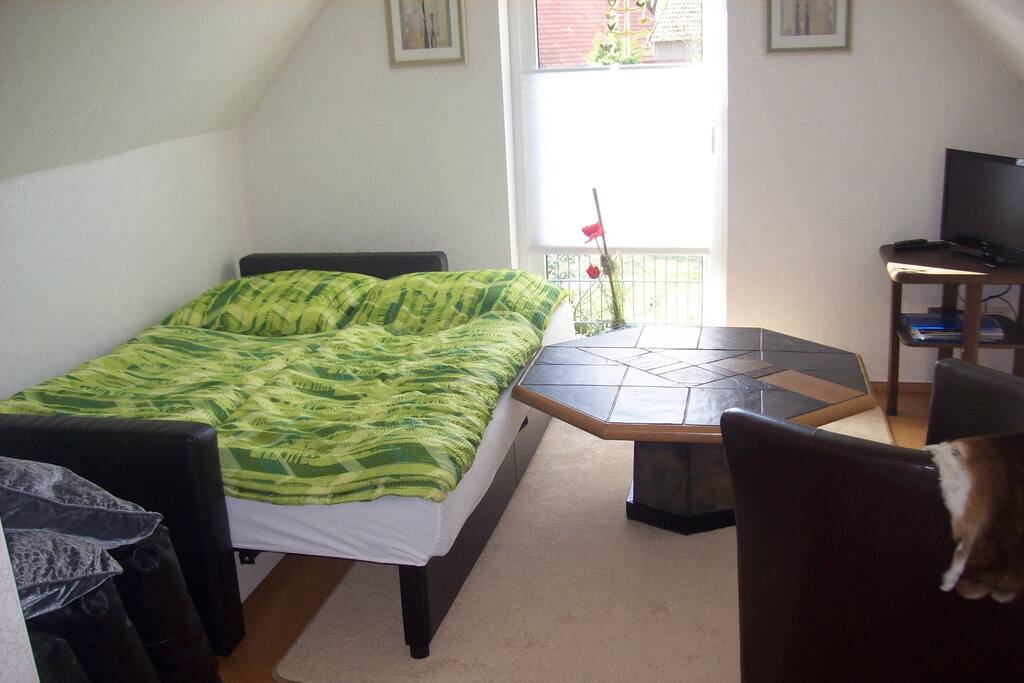 Wohn/Schlafzimmer Grenzperle