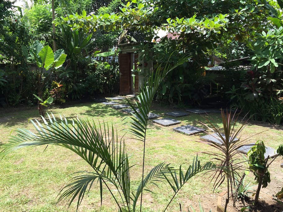 Beautiful Tropical Garden