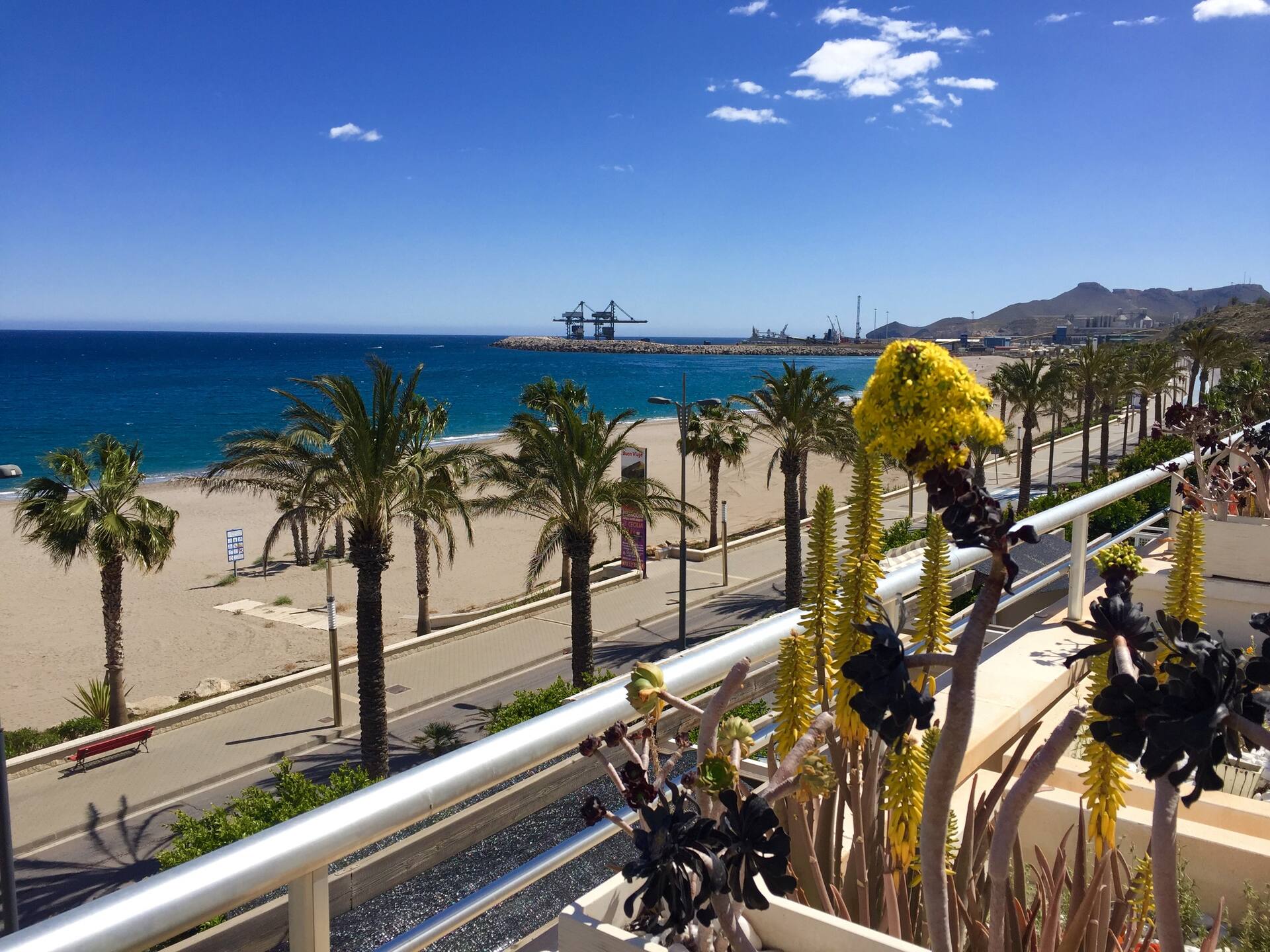 Magnificent and luxurious penthouse in Carboneras — photo 3