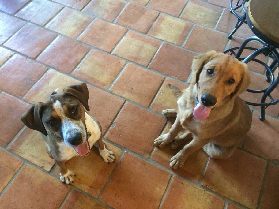 Cooper & TJ