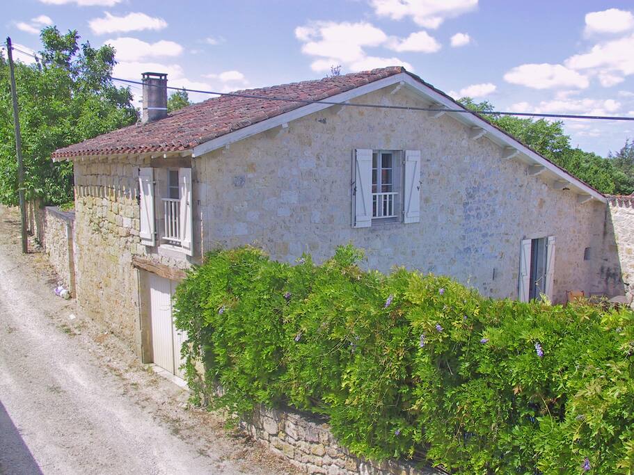Le Figuier (the pool is well hidden behind the hedge)