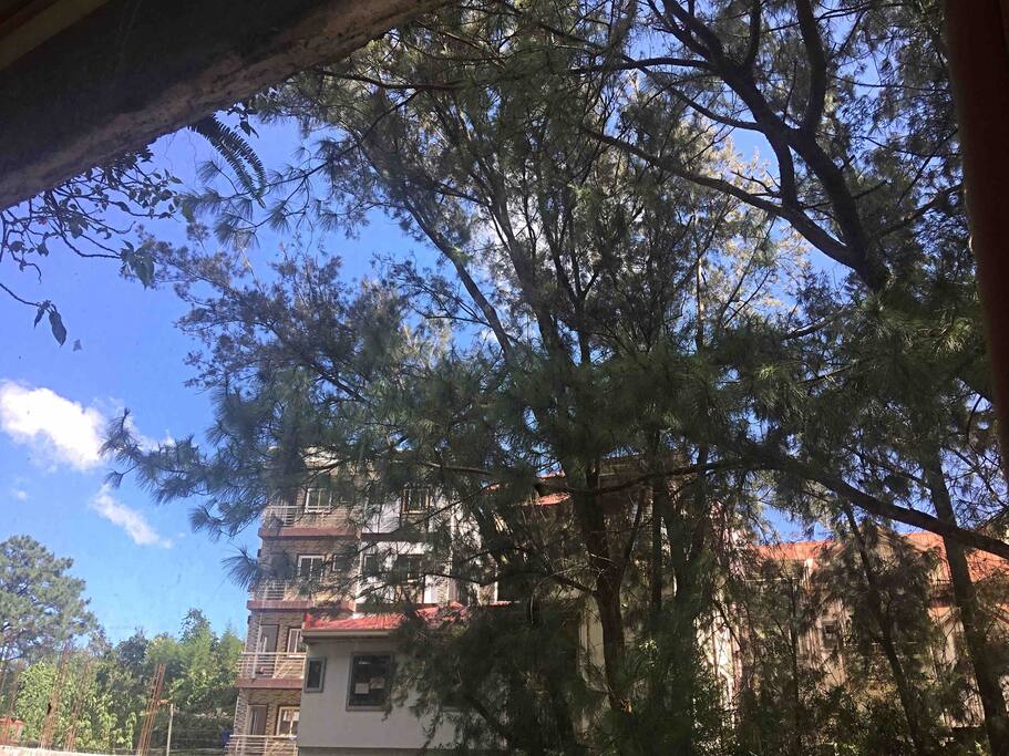 View from the window in the living room