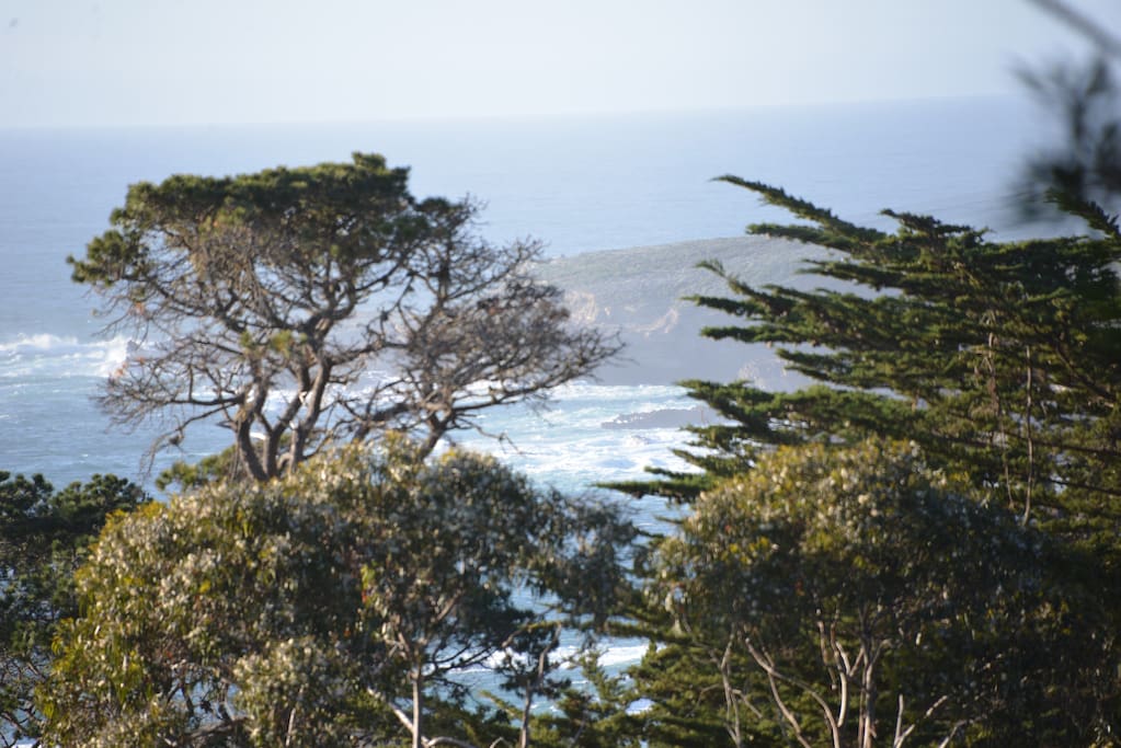 View of Pt. Lobos from the Master Suite balcony.