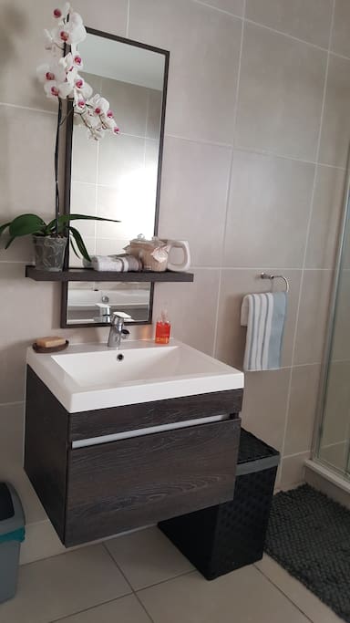Guest Bathroom (private)
