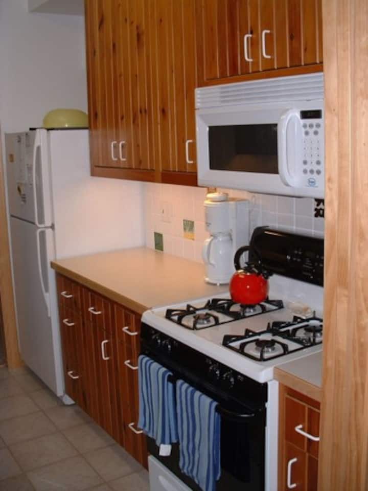 Torch Lake waterfront home close to Bellaire MI! Cottages for Rent in Bellaire, Michigan