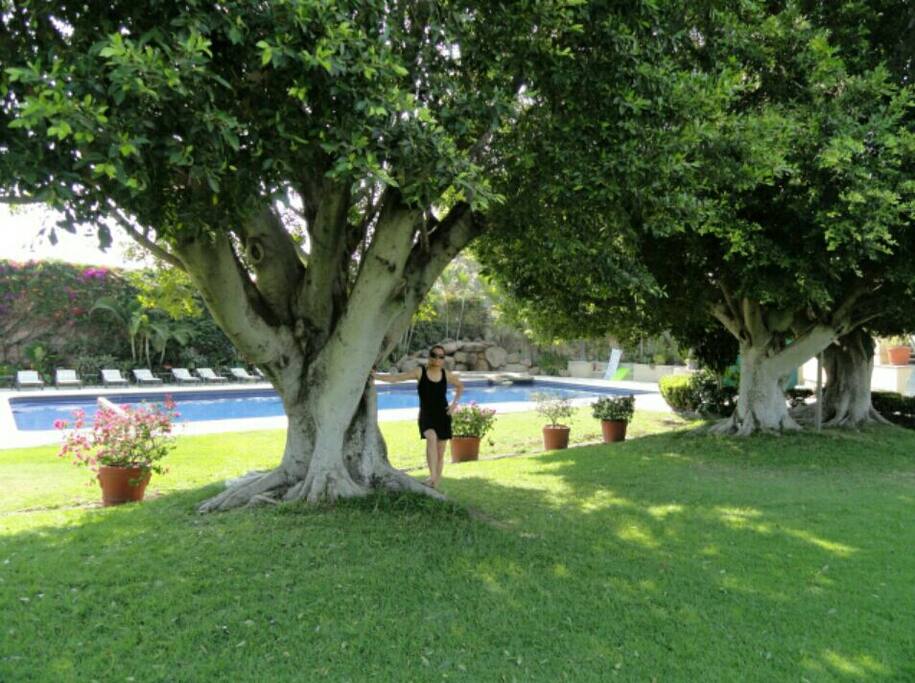 Alberca