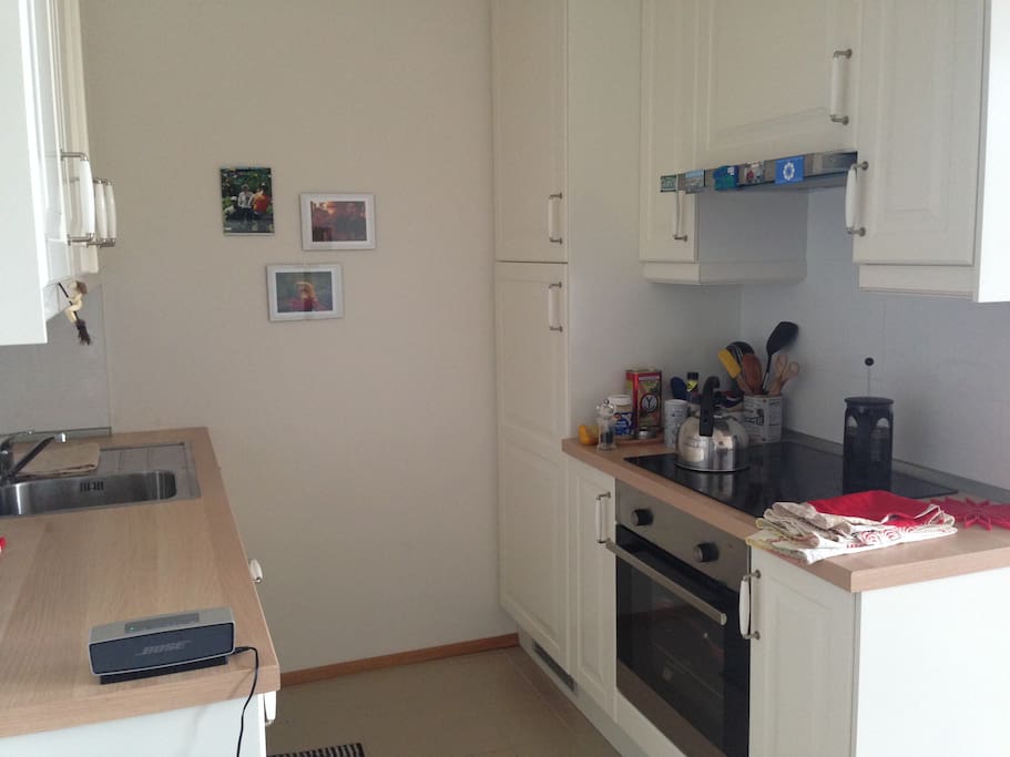 Modern kitchen area with dish washer. Coffee and tea provided.