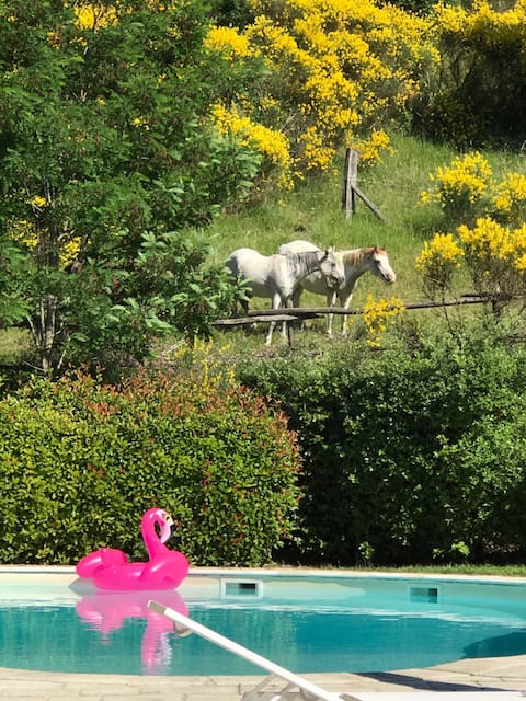 Ca' Panicale -  Swimming pool, SPA, Gym, Privacy