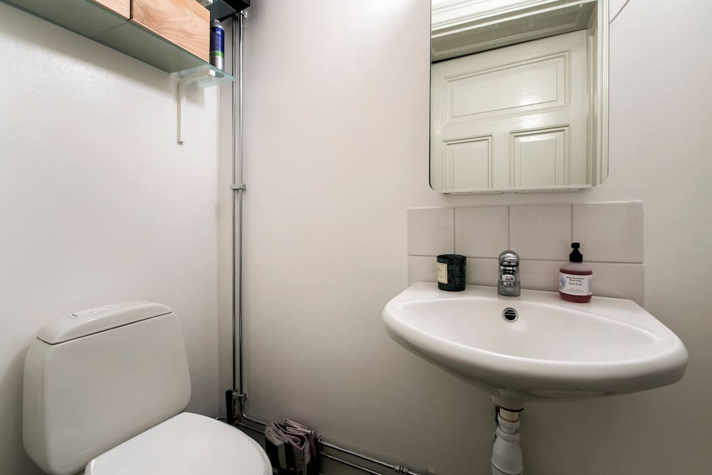 This is exactly what it looks like, the toilet :)