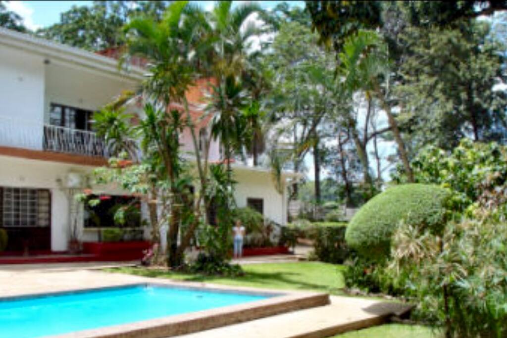 Back garden and pool