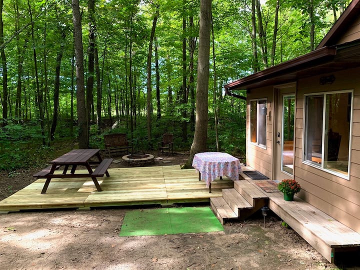 Little Cabin in the Woods Tiny houses for Rent in Tekonsha, Michigan