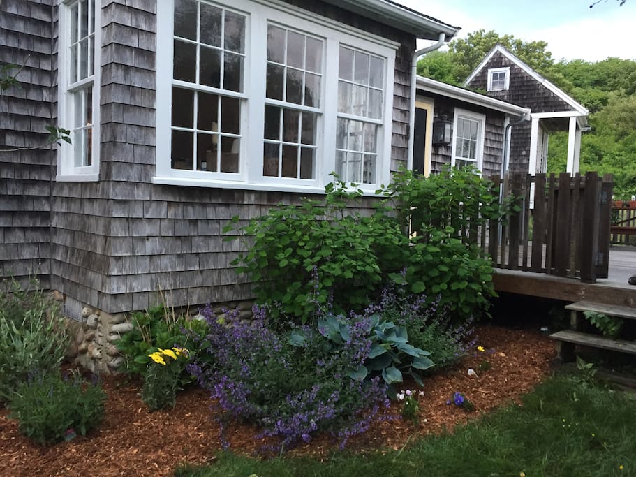 Side Garden