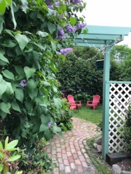 Arbor from driveway to yard