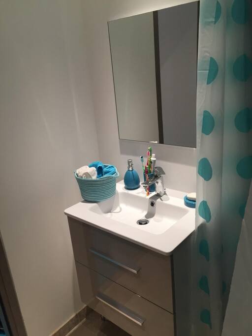 salle de bain avec douche + WC