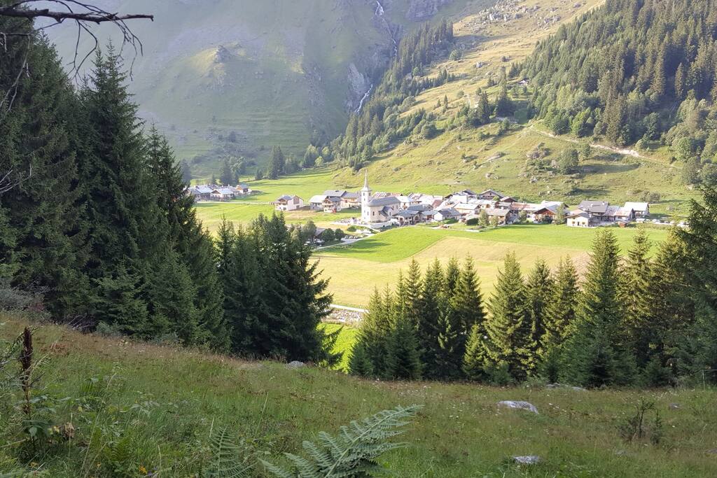 Champagny Le Haut "Le bois"