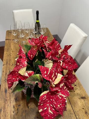 Santo Spirito Apartment gallery image 5