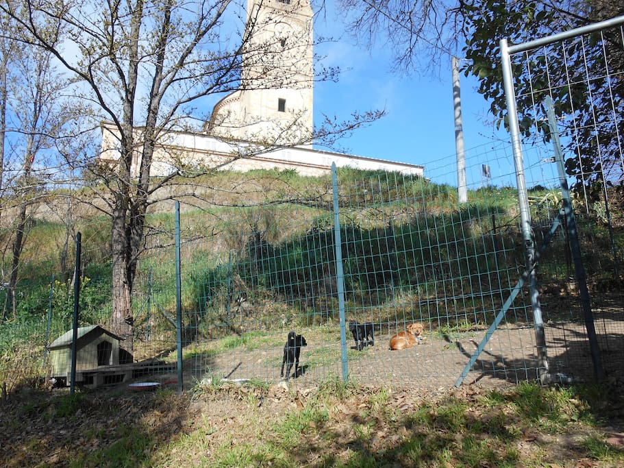 i coniugi MIMETTA e JOVINCO, con il loro bebè BAGGIO.