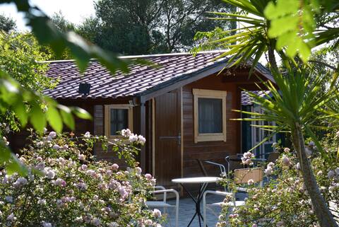 Naturae - 1 to 3 guests