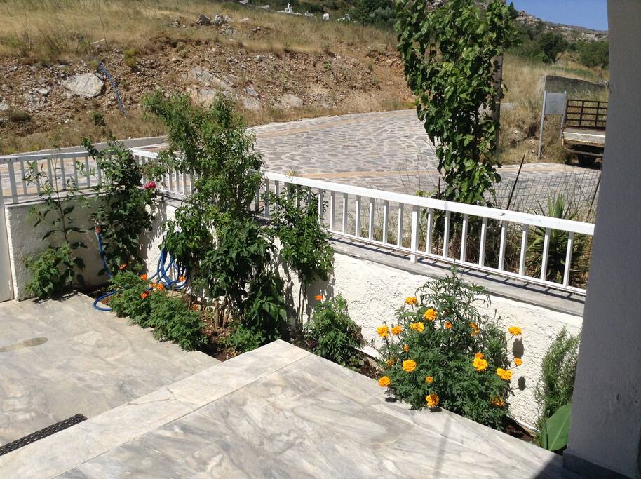 GARDEN