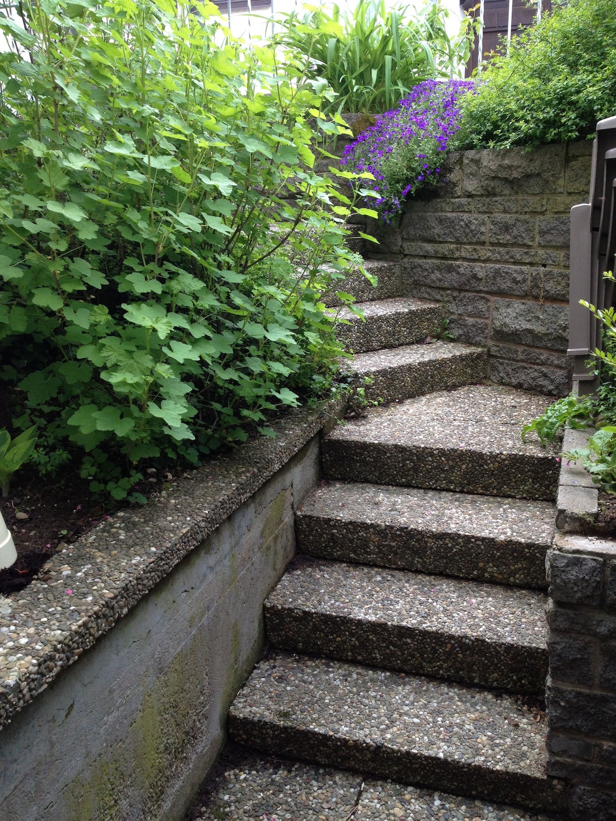 A stone staircase is surrounded by lush green foliage and colorful flowering plants. The steps are lined with gravel, leading upwards, creating a natural pathway that is well-defined and inviting.