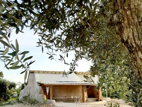 Quinta Terramadome: Unusual & responsible dome