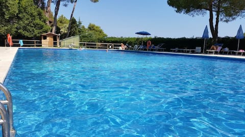 Sol, mar y relajación junto a la piscina en la isla de Elba
